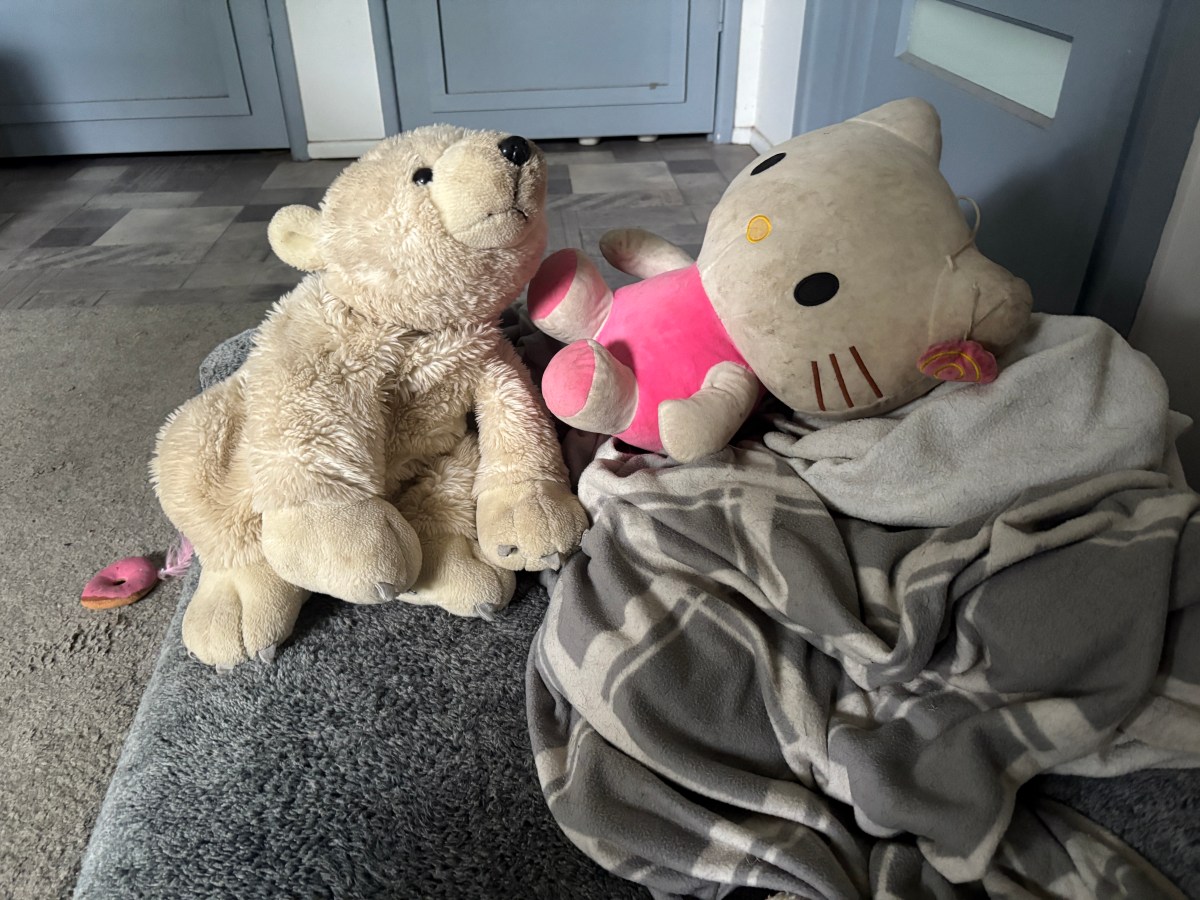 Dog toys don’t need to be&nbsp;expensive.