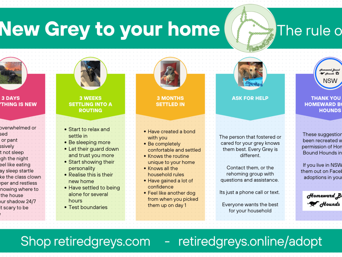 The Rule of&nbsp;3’s